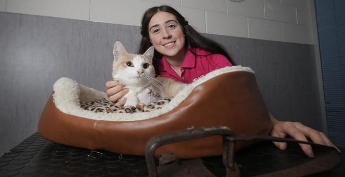 RSPCA worker Bec Miller with Chester, an 11-month-old male cat found caught in an illegal leg-hold trap in Lenah Valley. Picture: LUKE BOWDEN