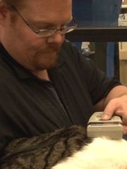 Michael Morefield, marketing and communications director for the Arizona Animal Welfare League, checks a rescued cat's microchip number. (Photo: Elena Mendoza/Cronkite News)
