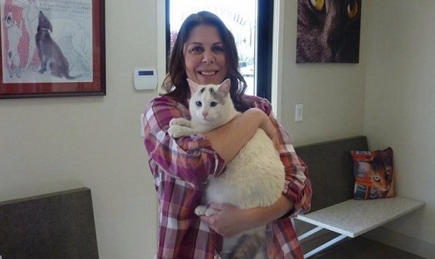 Muscat the cat was found six months after he went missing during the Valley Fire in Middletown. (Middletown Animal Hospital)