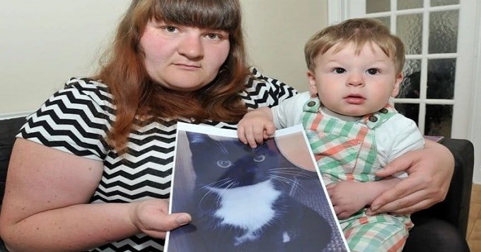 Leanne Harris and 13-month-old son Joshua have been left devastated by the death of their cat, Toby. 