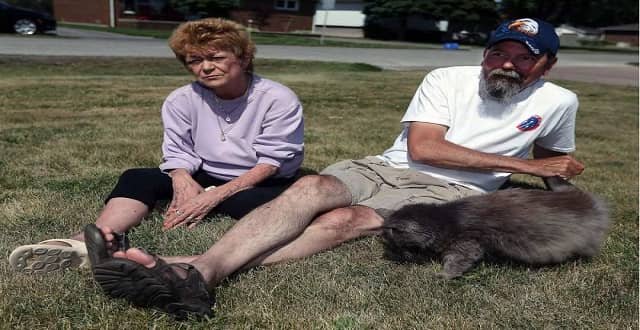 Elizabeth Cash, left, and Robert Buck play with their cat Booba on the lawn of their home in LaSalle on June 14, 2016.