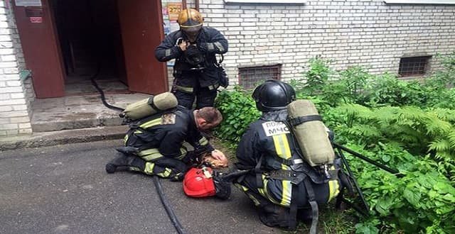 Firefighters were called to a blaze in St Petersburg where they discovered a dying cat