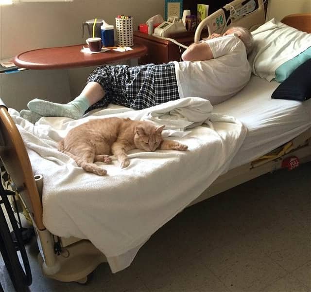 Tom brings comfort to a veteran who sleeps better knowing his cat friend is there.
