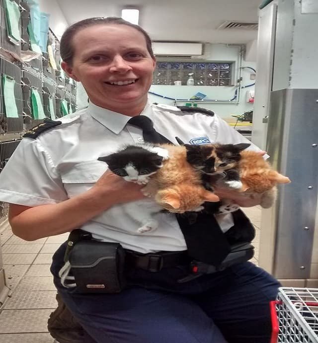 RSPCA inspector Nadine Pengilly with the abandoned cats