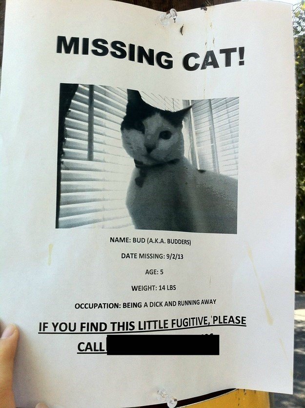 10 Hilarious Posters For Missing Cats