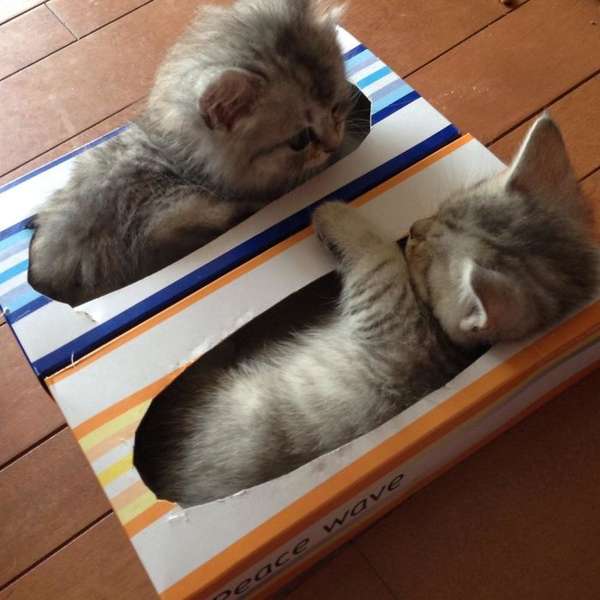 We Fits!