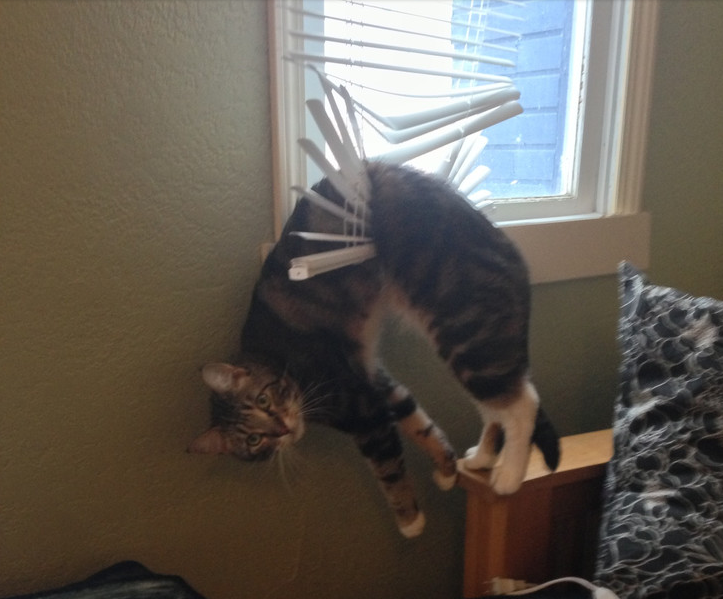 And that anxiety won't be entirely unfounded.