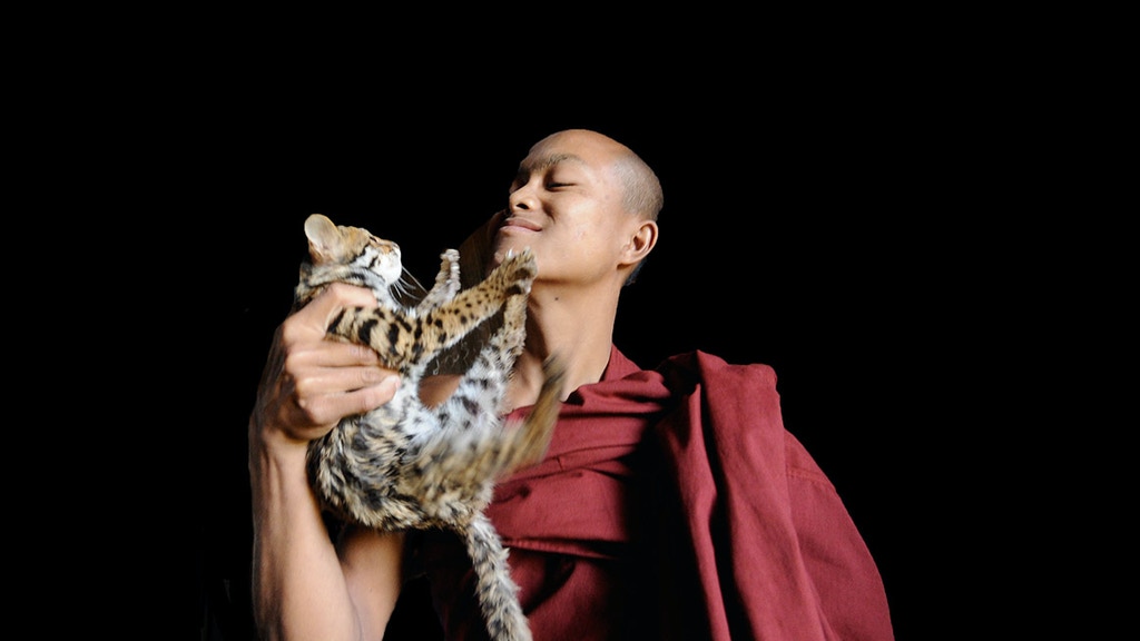 Temple Animals of Southeast Asia project video thumbnail