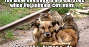 12088411_1474688902861995_155705728941743109_n-min