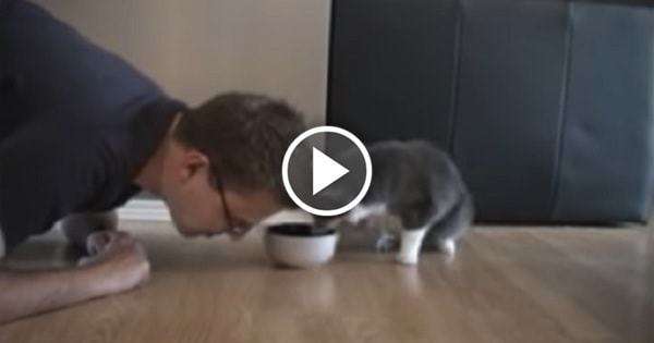 Man Pretends To Eat Cat's Food - And The Cat's Response is Priceless!