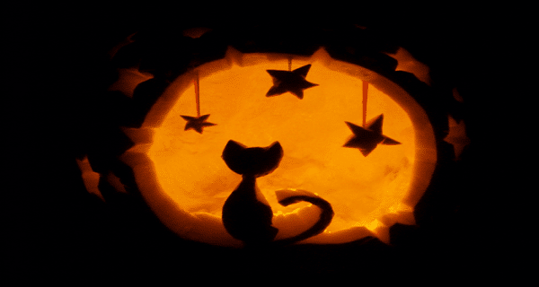 Halloween Safety for Cats