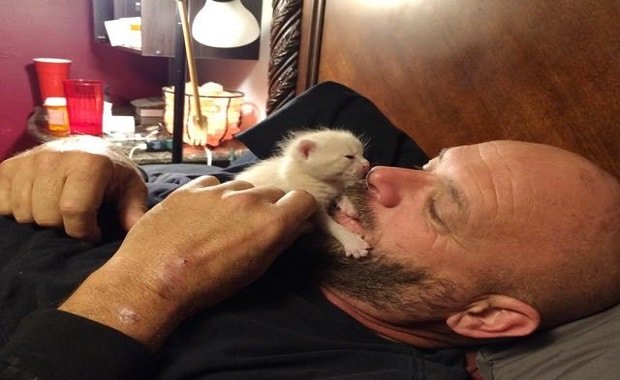 Kind Man Rescues Orphaned Kitten and Becomes New ‘Mom’