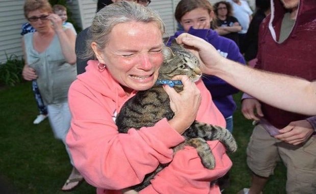 Missing Cat Saved from Well Reunited with Human Mom