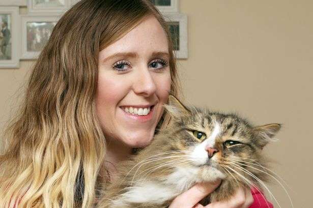 Missing Cat Found 14 Months After Disappearing, Living in a Pet Food Factory and Twice His Original Size