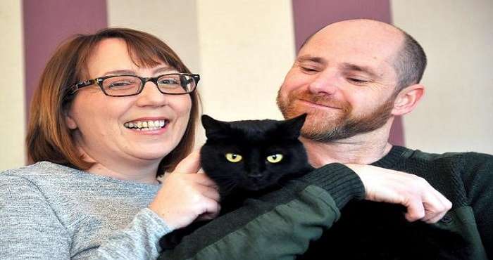 Black Cat Missing for 14 Months Found … But Boy! Did This Cat Have Some Secrets!