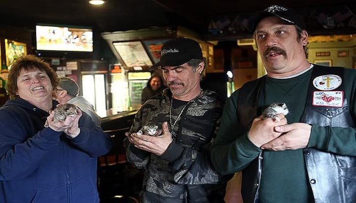 Patrons of Bar Closing for Good Come Together Like Family to Rescue Litter of Kittens!