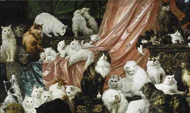 Cuddle With Shelter Cats At the Portland Art Museum This Weekend