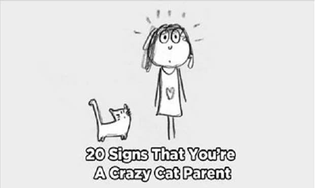 20 Signs That You’re a Crazy Cat Parent
