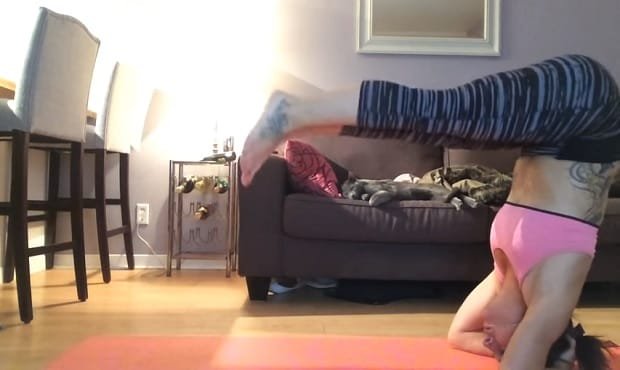 The Yoga Session That Went “Pawll” Wrong! – VIDEO