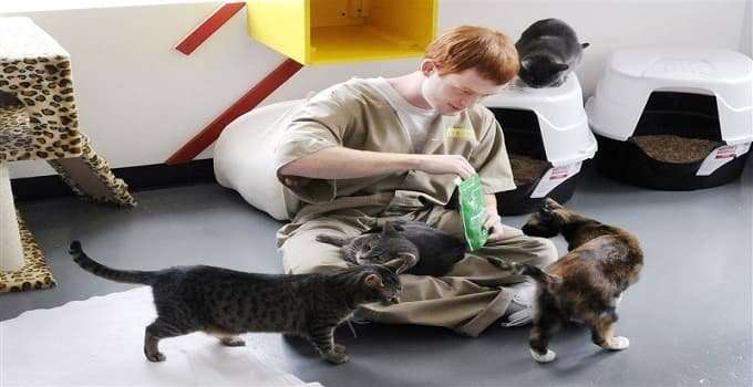 Cat Sanctuary at Pendleton Correctional … BEING EXPANDED!