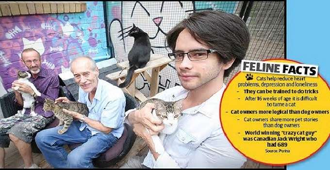 Research Study in One Country Examines the “Sociology of Cat Daddies” … Interesting Stuff!