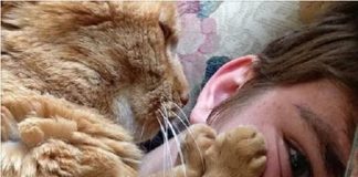 Ginger Cat Has Been This Young Man's Forever Kitty for 22 Years!