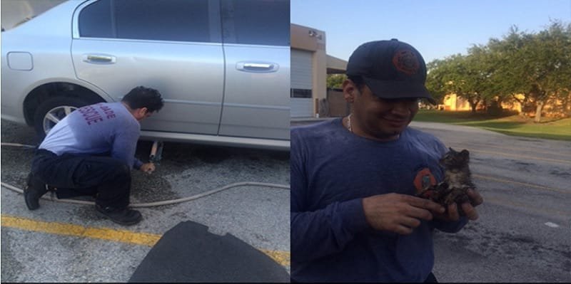 Florida Firefighter Rescues Tiny Kitten From Frame of Car and Then Does Something Incredible!