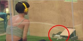 People Who Suffer From Chronic Stress Enter A Glass Box for an Experiment! - VIDEO!