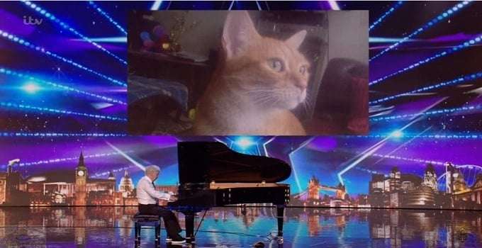 73-year Old Pianist Dedicates Performance to His Cat, Simon Cowell Breaks Down in Tears! – VIDEO!