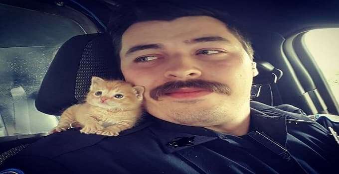 Police Officer Rescues Ginger Kitten and Now They Are Best Buds!