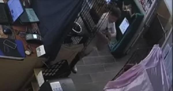 Woman Caught on Camera Taking Rescue Kitten, Reward for Return! – VIDEO!