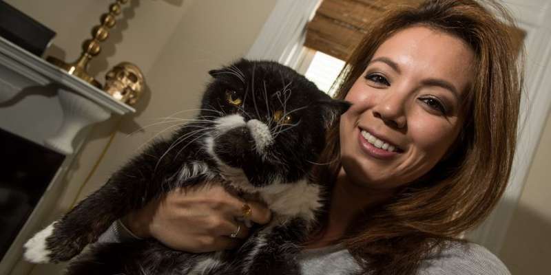 Instagram-famous Cat Lends His Fame to Help Domestic Violence Victims!