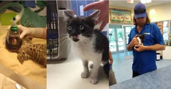Man Rescues 2 Kittens Dumped and Left to Drown on Bridge!