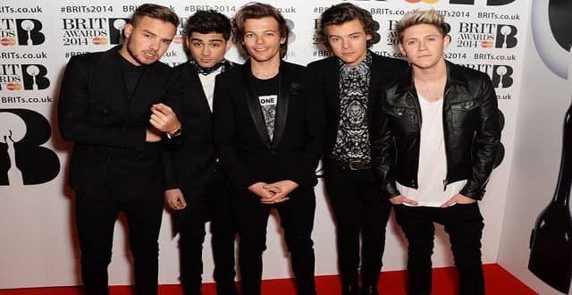 How Boyband “One Direction” Helped Locate Missing Michigan Cat!
