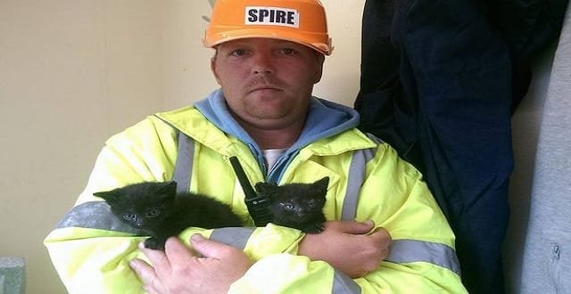Two Lucky Black Kittens Rescued from Anfield Rubble Seconds Before Builders Dumped Them From Digger!