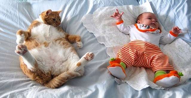 15 Pictures Proving Cats LOVE Kids!