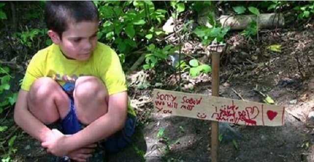 Boy Heartbroken After Assailant Shoots Family’s Cat, ‘Shadow’! – VIDEO!