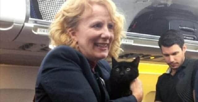 Black Cat Discovered Under Seat on Ottawa-Vancouver Flight