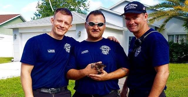 Firefighters Rescue Tiny Kitten from Underground Storm Drain!