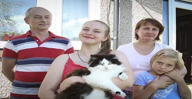 Meet Nikki the Hero Cat Who Alerted Her Family to a Break In!
