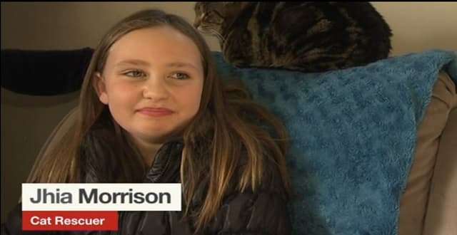 9-year-old Girl Risks Own Life To Save Kitten Cruelly Thrown into Stream by Teenagers, As They Laughed at Her!