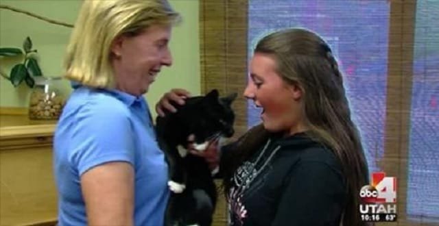 “Miracle” Cat, Lost and Feared Dead, Crosses Mountains to Find Family!