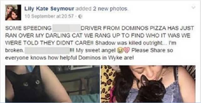 Domino’s Pizza Delivery Driver ‘Kills Family Pet Cat in Hit-and-run’!