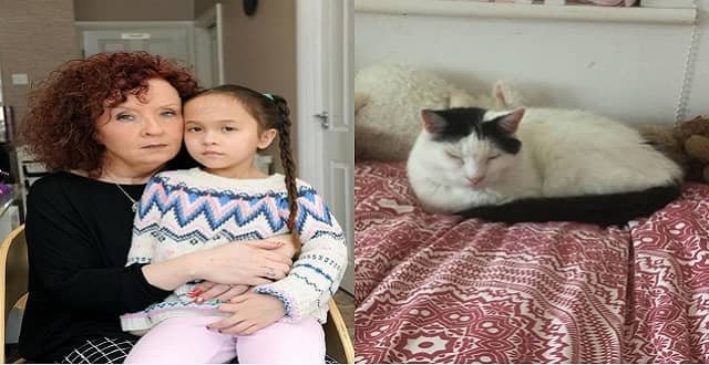 Mom Desperate to Find Missing Cat for ‘Distraught’ Autistic Daughter!