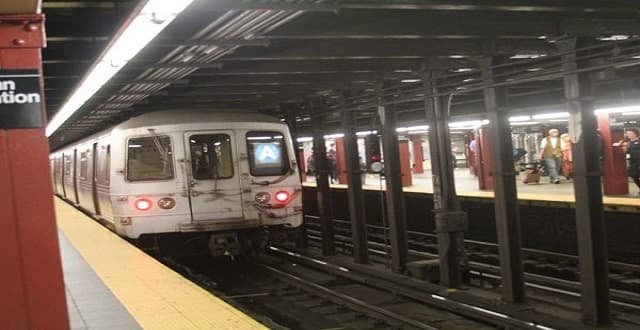 Cat Shuts Down Uptown A Train Service Thursday Morning!