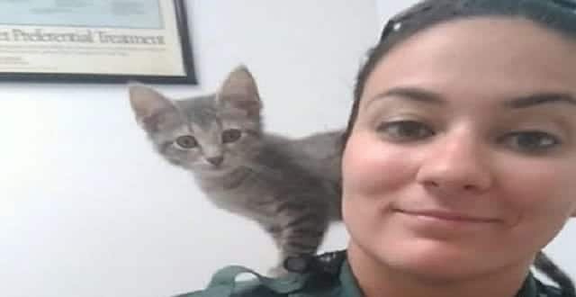 Florida Deputies Rescue “Tied Up’ kitten!