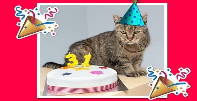 The World’s Oldest Cat Just Celebrated His 31st Birthday!