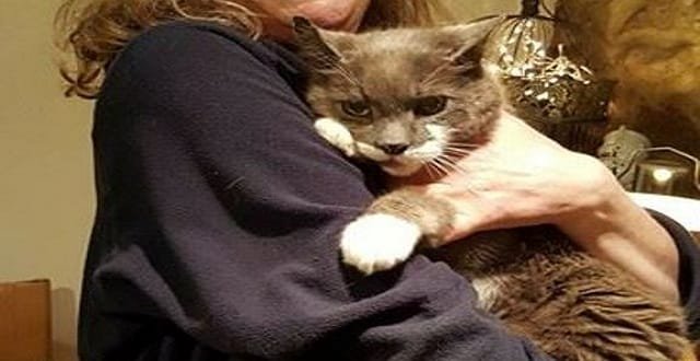 Cat is Reunited with Owner After Mysterious Three-year Absence!
