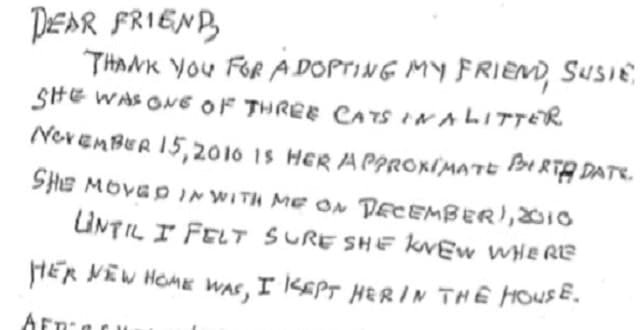 Woman Only Days Left To Live, Leaves Note To Her Cat’s Future Owner!