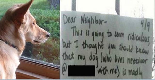 A Dog Is Heartbroken, So Owner Tapes A Note On Neighbor’s Window About His Cat!